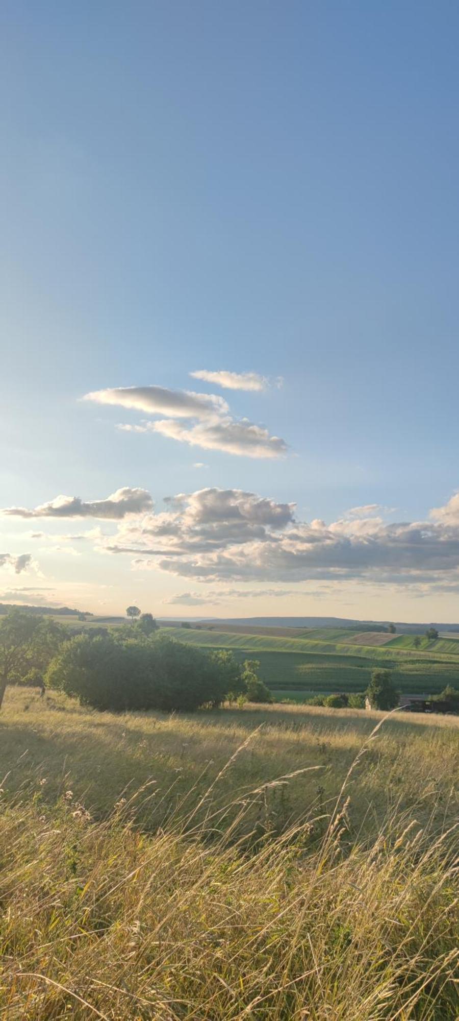 Lohmann'S Landhaus Zum See Stadtlauringen エクステリア 写真